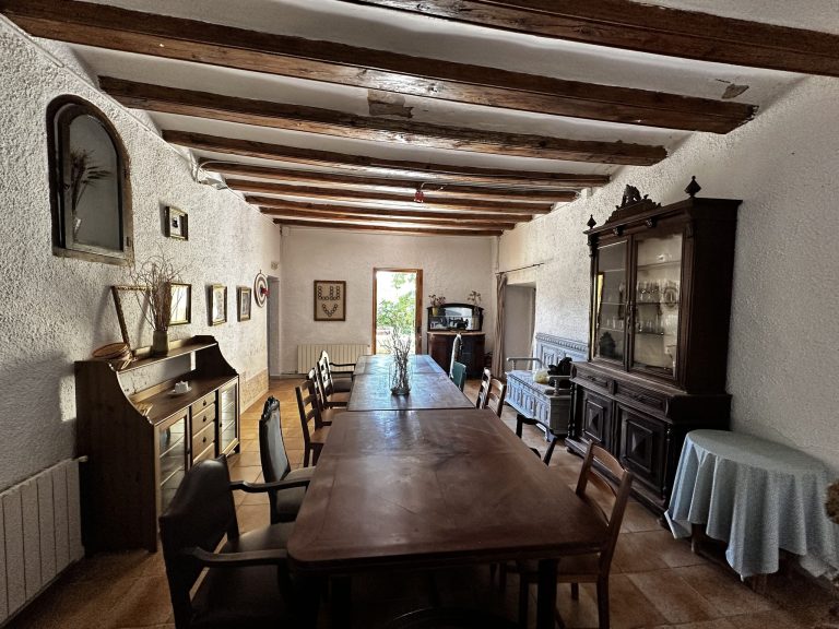 IMG_3604_converted-scaled