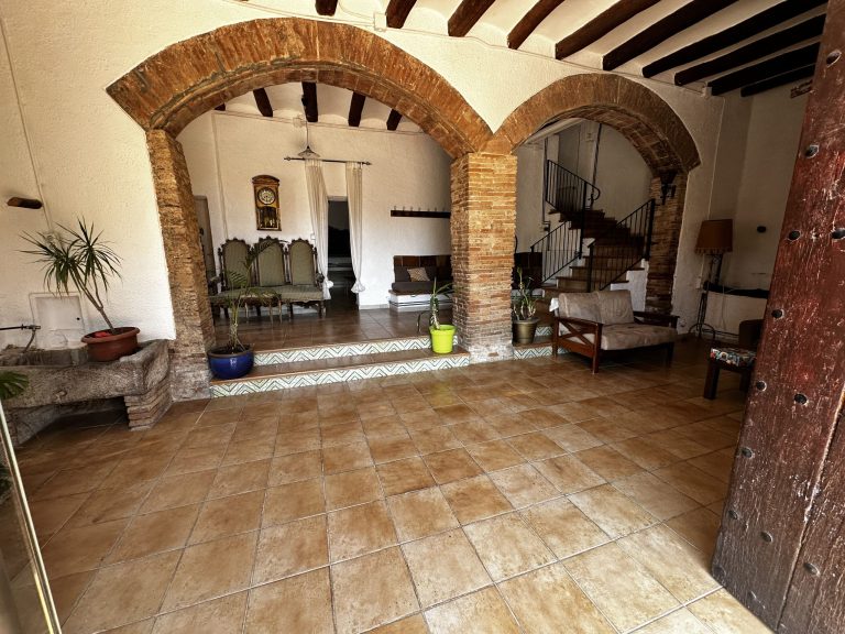 IMG_3605_converted-scaled