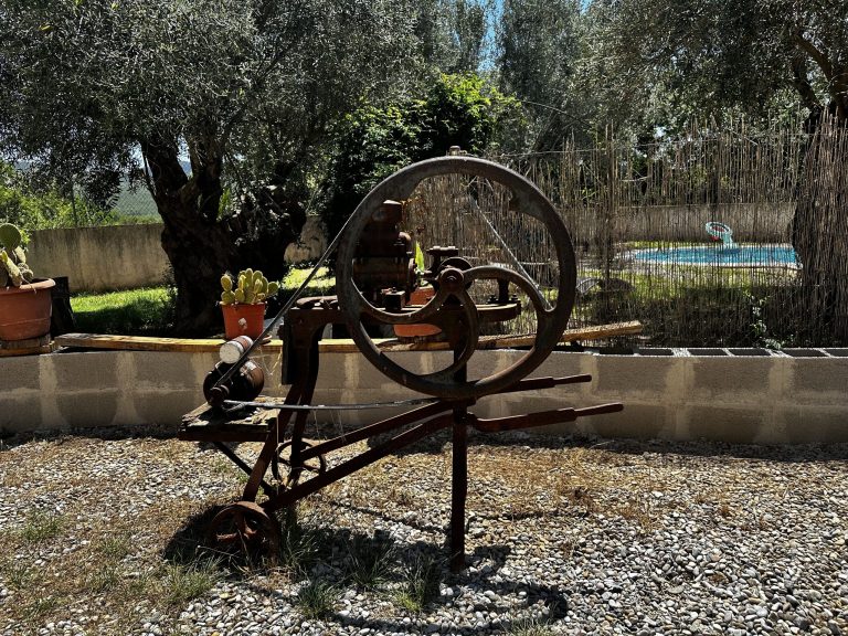 IMG_3611_converted-scaled