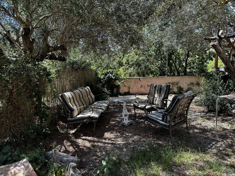 IMG_3612_converted-scaled