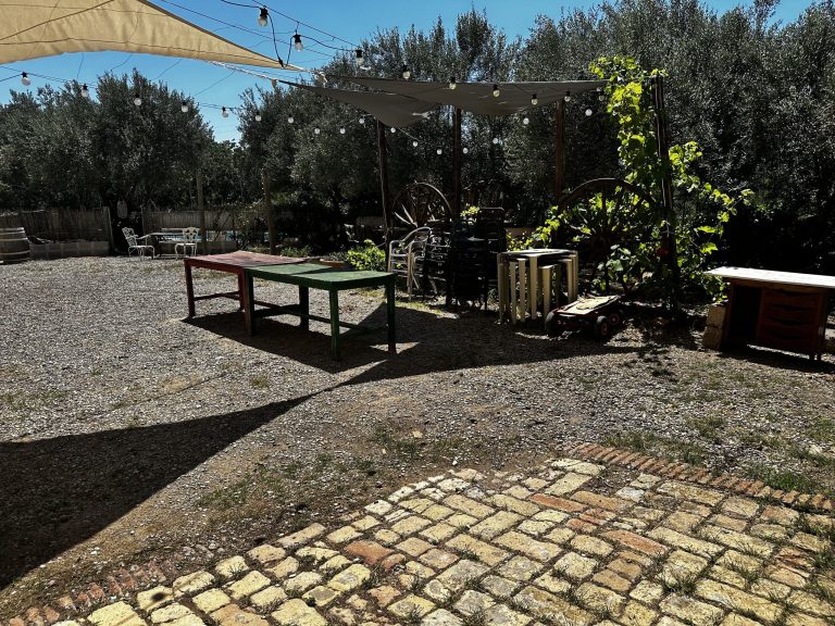 IMG_3630_converted-scaled