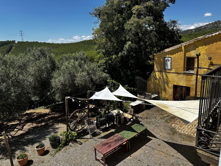 IMG_3640_converted-scaled