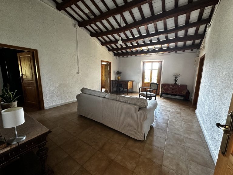 IMG_3652_converted-scaled