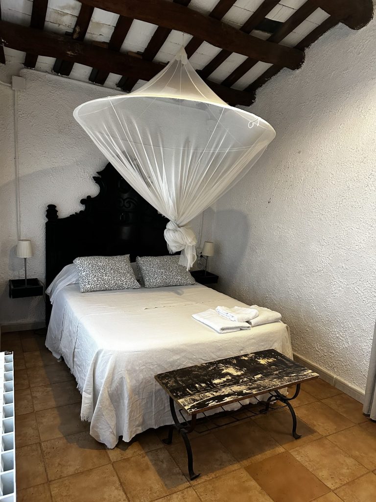 IMG_3654_converted-scaled