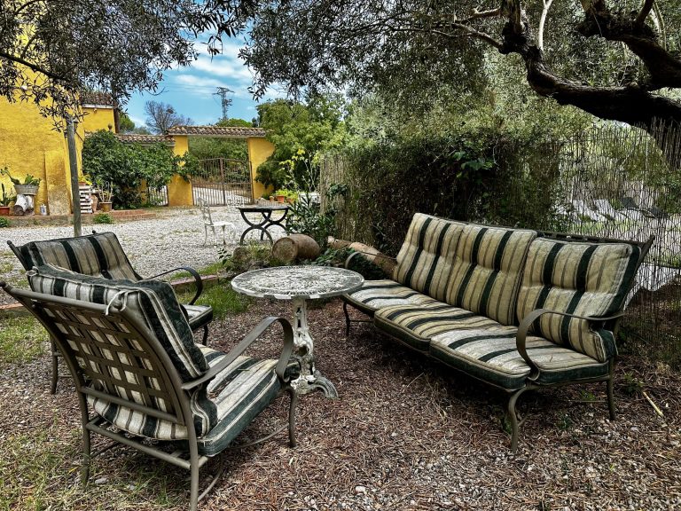 IMG_3681_converted-scaled