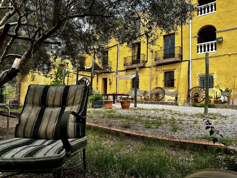 IMG_3684_converted-scaled