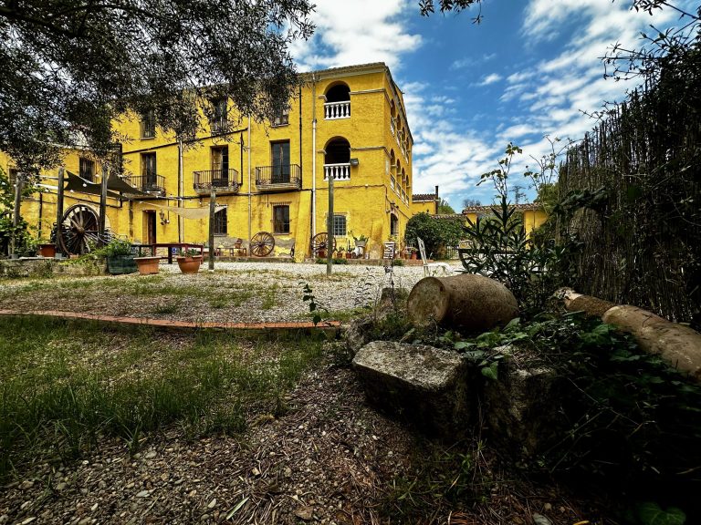 IMG_3687_converted-scaled